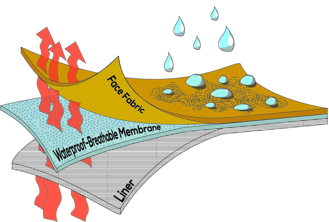 The principle of water repellent coating?