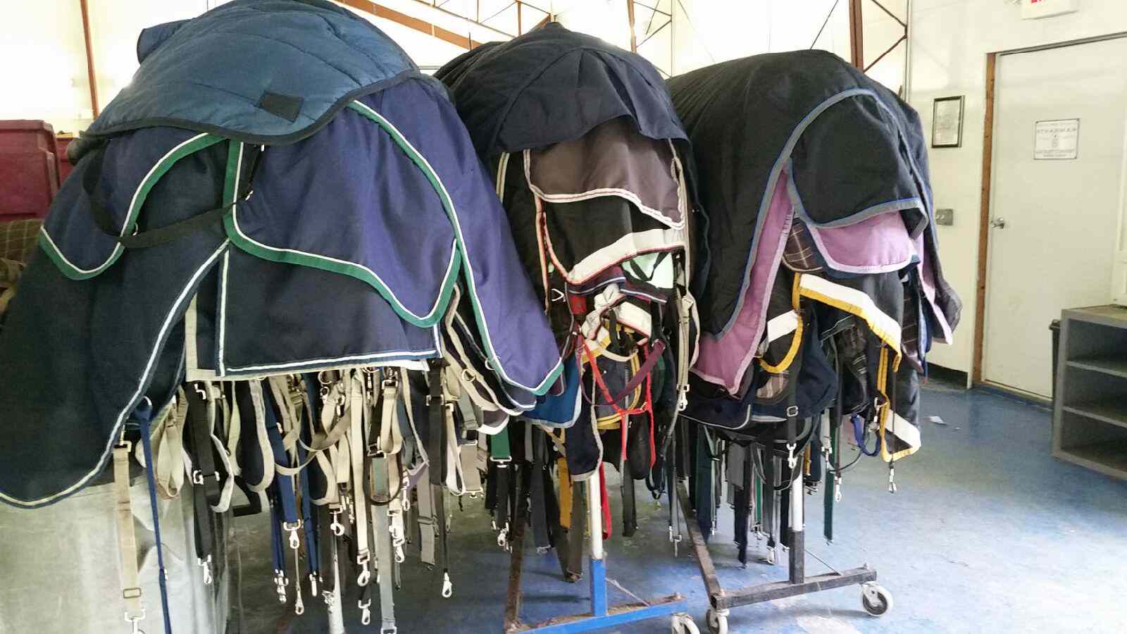 Essential Tips for Cleaning and Storing Horse Blankets