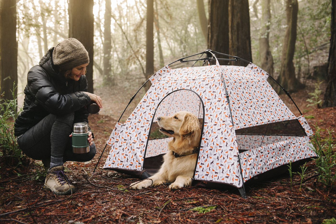 Advantages of Having a Dog Tent