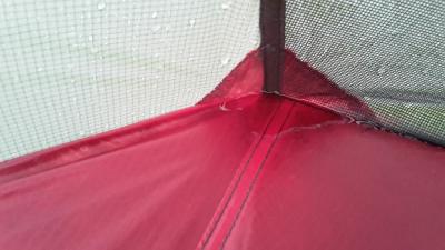 Is it a leaking tent or condensation?