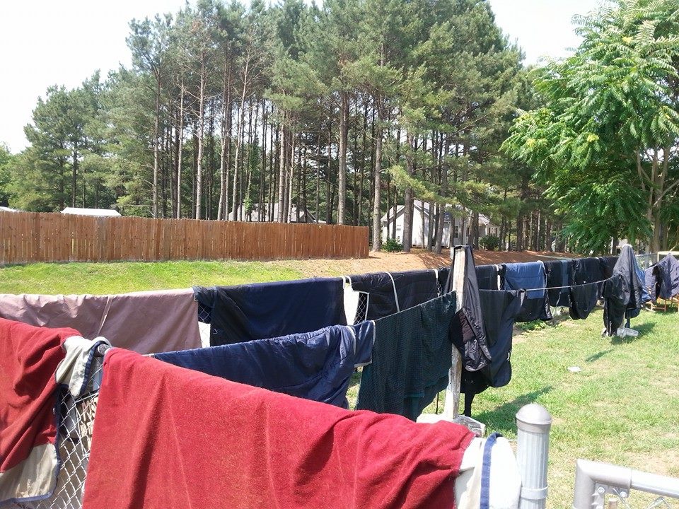 horse blankets drying on fense